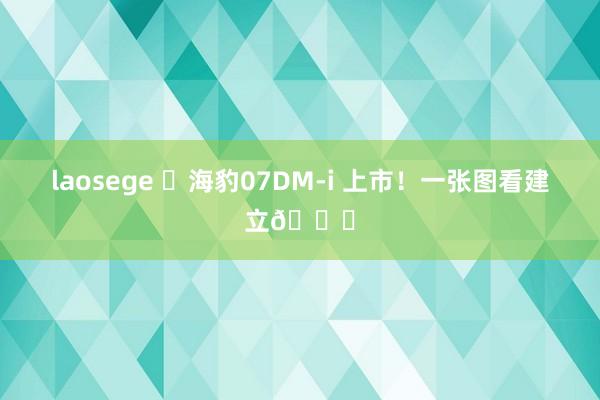 laosege ✅海豹07DM-i 上市!一张图看建立?