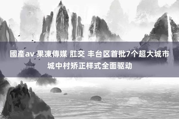 國產av 果凍傳媒 肛交 丰台区首批7个超大城市城中村矫正样式全面驱动