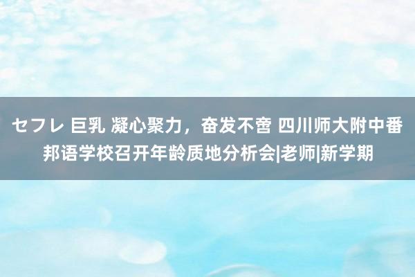 セフレ 巨乳 凝心聚力，奋发不啻 四川师大附中番邦语学校召开年龄质地分析会|老师|新学期