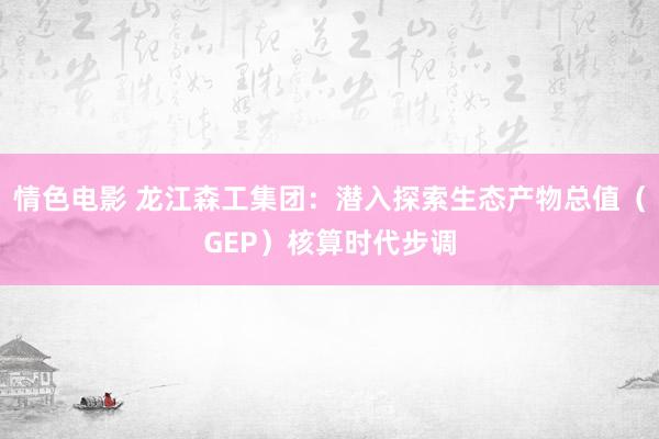 情色电影 龙江森工集团：潜入探索生态产物总值（GEP）核算时代步调
