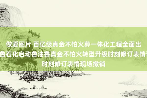 做爱图片 百亿级真金不怕火葬一体化工程全面出发 ——皆鲁石化启动鲁油鲁真金不怕火转型升级时刻修订表情现场撤销