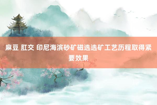 麻豆 肛交 印尼海滨砂矿磁选选矿工艺历程取得紧要效果