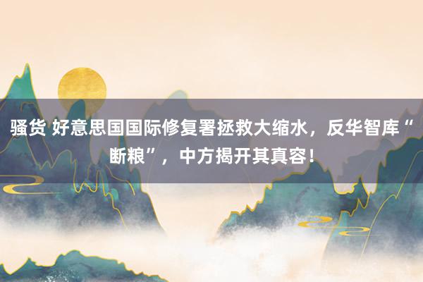 骚货 好意思国国际修复署拯救大缩水，反华智库“断粮”，中方揭开其真容！