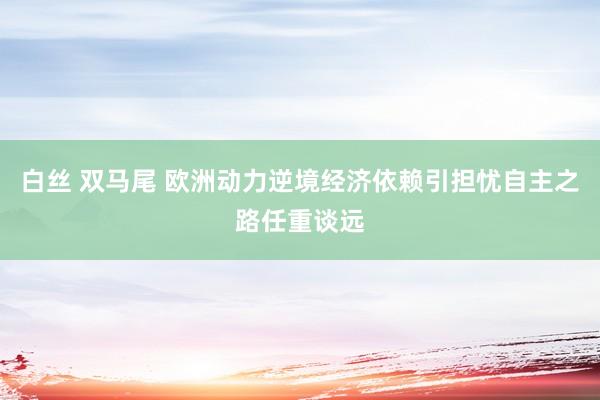 白丝 双马尾 欧洲动力逆境经济依赖引担忧自主之路任重谈远