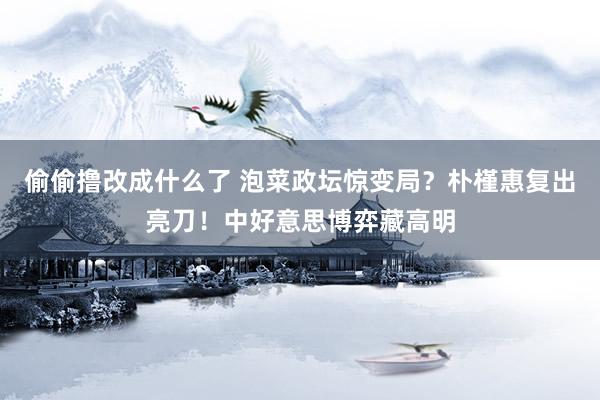 偷偷撸改成什么了 泡菜政坛惊变局？朴槿惠复出亮刀！中好意思博弈藏高明
