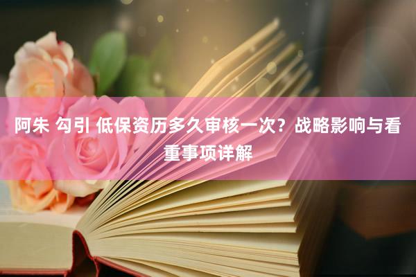 阿朱 勾引 低保资历多久审核一次？战略影响与看重事项详解
