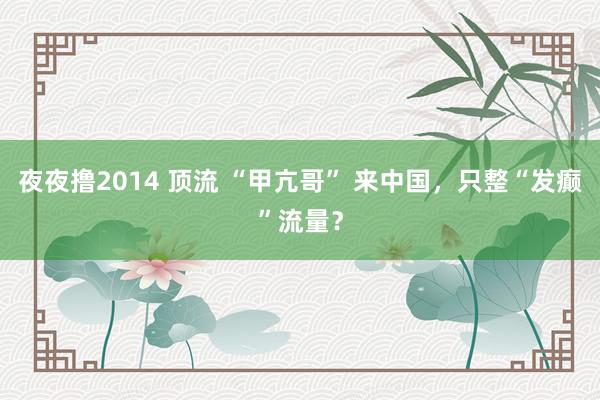 夜夜撸2014 顶流 “甲亢哥” 来中国，只整“发癫”流量？