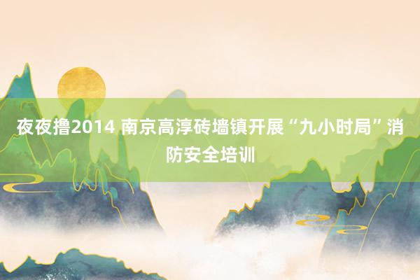 夜夜撸2014 南京高淳砖墙镇开展“九小时局”消防安全培训