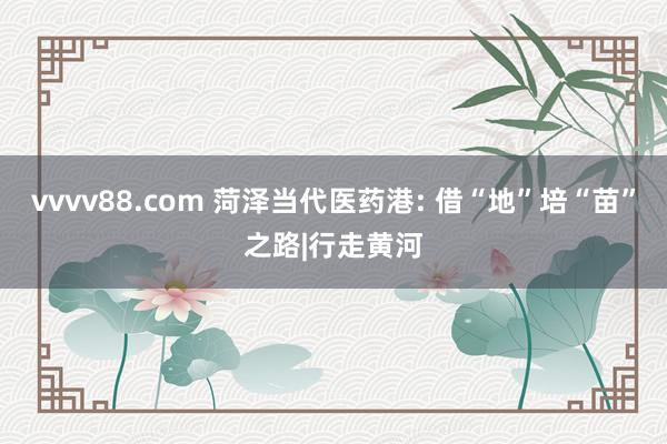 vvvv88.com 菏泽当代医药港: 借“地”培“苗”之路|行走黄河