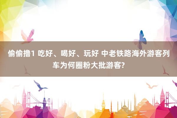 偷偷撸1 吃好、喝好、玩好 中老铁路海外游客列车为何圈粉大批游客?