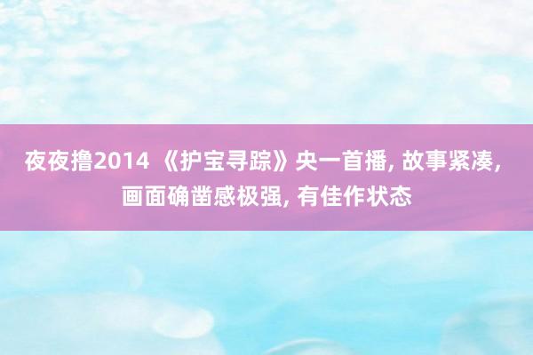夜夜撸2014 《护宝寻踪》央一首播, 故事紧凑, 画面确凿感极强, 有佳作状态