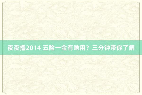 夜夜撸2014 五险一金有啥用？三分钟带你了解