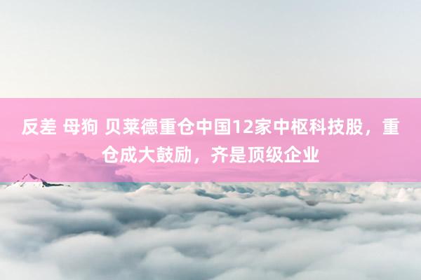 反差 母狗 贝莱德重仓中国12家中枢科技股，重仓成大鼓励，齐是顶级企业